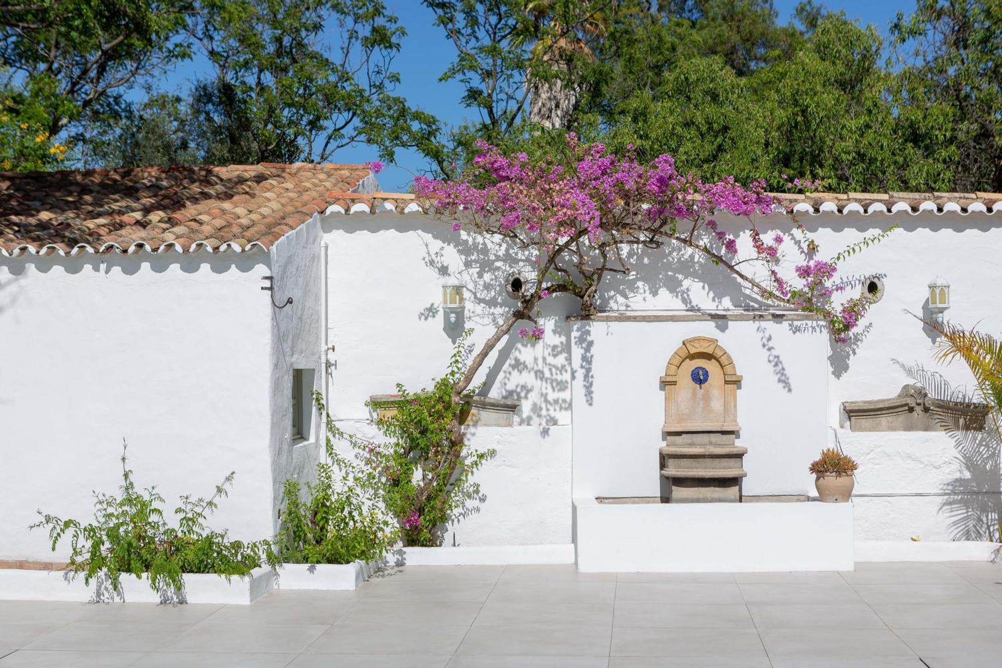 Amago Guesthouse Santa Barbara de Nexe Exterior photo